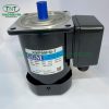 Động Cơ K9IP90FM-T GGM