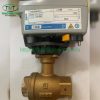 Van Cấp Nước Tự Động VY6300B0021